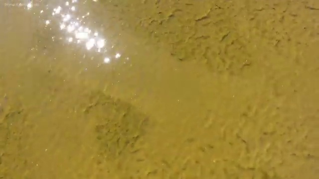  사무행정전문가 수업 , 사무행정전문가 자격증 합격정보 알려드려요