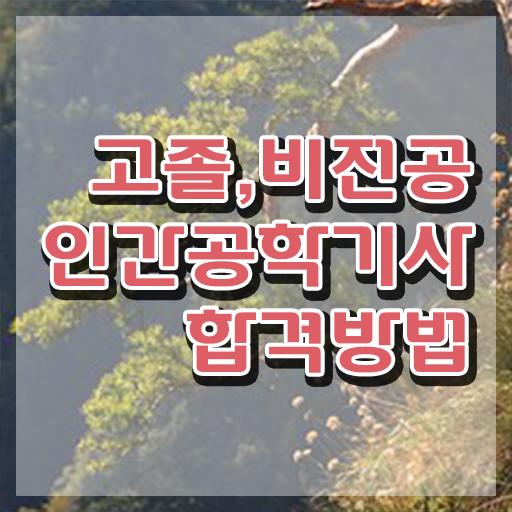 , 인간공학기사 취득자격 독학으로 단기간에 성공한 비법