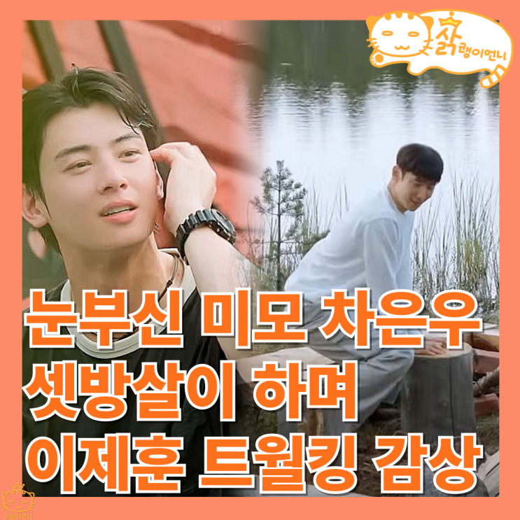 tvn <b>핀란드 셋방살이</b> 정보 <b>이제훈 차은우</b> 비주얼로 힐링... 
