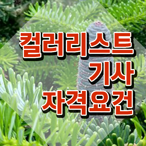  컬러리스트 산업기사 응시자격 컬러리스트기사 시험응시조건 온라인 수업으로 쉽고 빠르게 준비한 방법