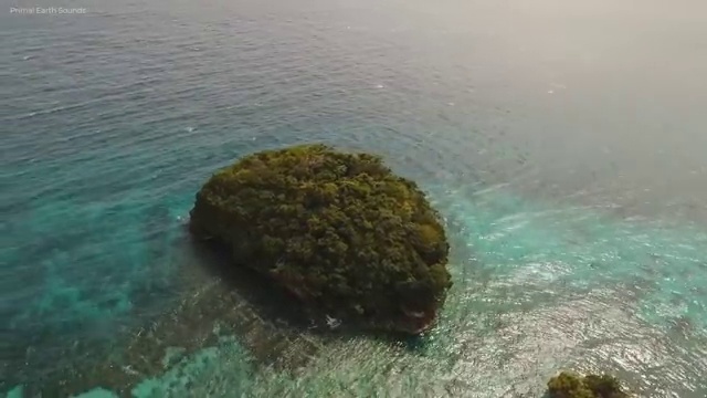  병원서비스총괄매니저 특강 , 병원서비스총괄매니저 자격증 직장인도 쉽게 취득한 노하우 핵심 정보 정리