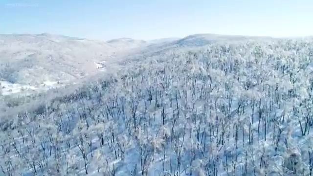  , 학점은행제 학사학위 비전공자도 편하게 준비했던 비법