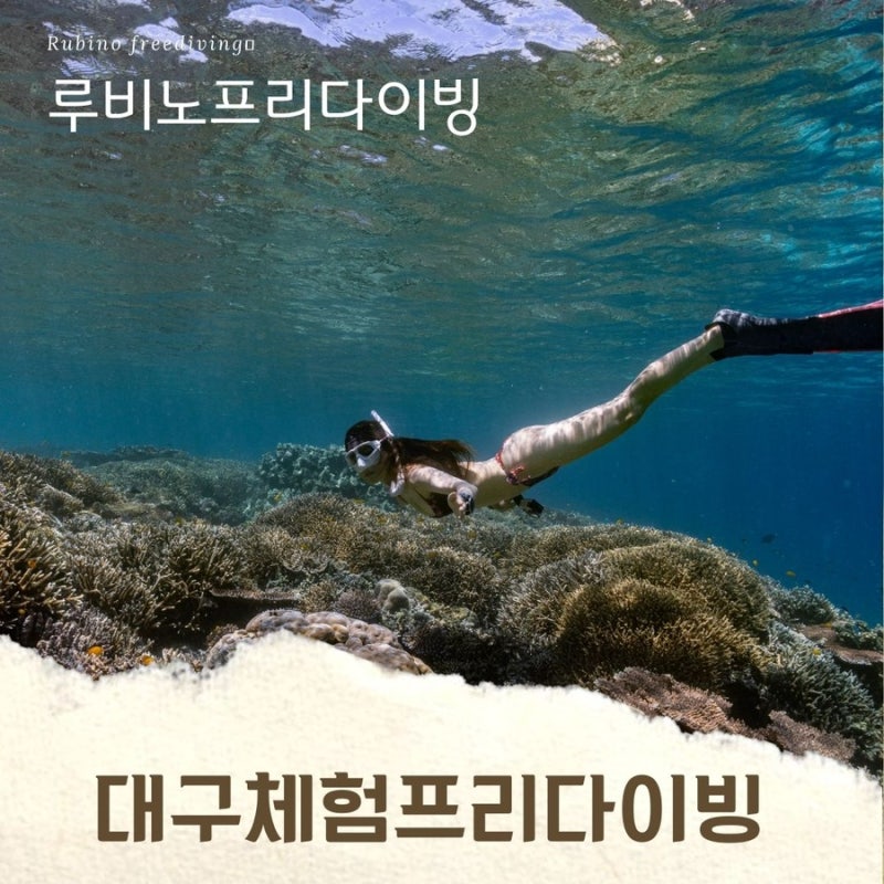 대구 프리다이빙 체험코스는 어떻게 진행되나요?