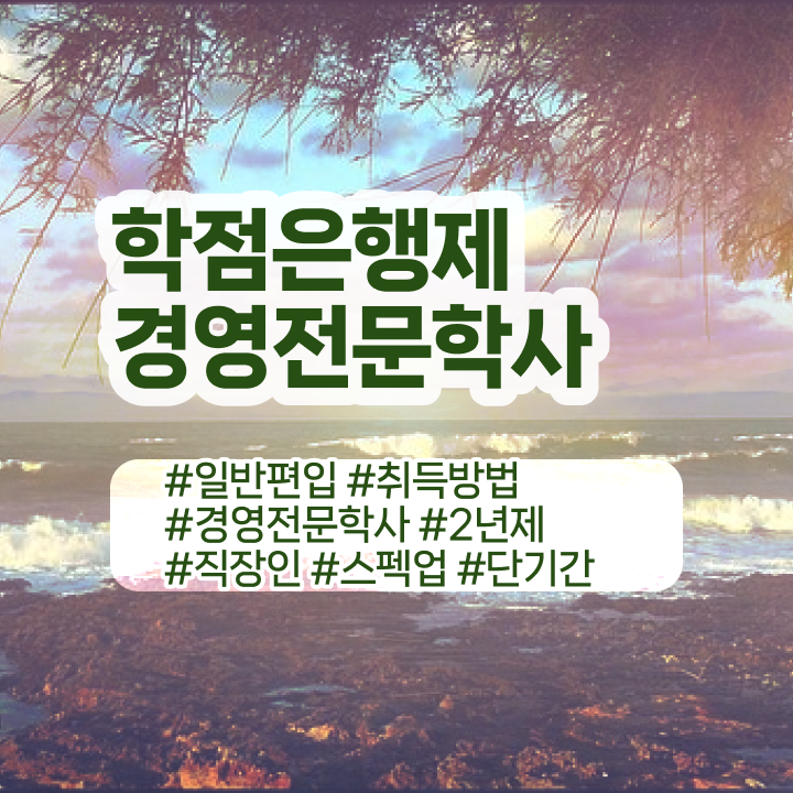  경영학 경제학 , 경영학 학위 관련학위 없어도 인강만으로 빠르게 성공한 과정