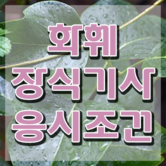  화훼장식기사 취업 화훼장식기사 자격요건 인강으로 쉽고 빠르게 끝낸 후기
