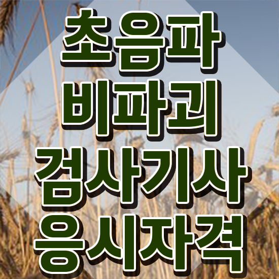  초음파비파괴검사기사 자격요건 온라인 과정으로 간단하게 준비한 비법