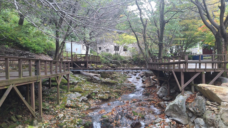 해인산장식당 사진 5