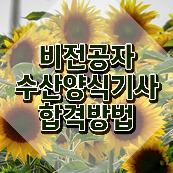  수산양식기사 응시자격 인강으로 단기간에 끝낸 노하우