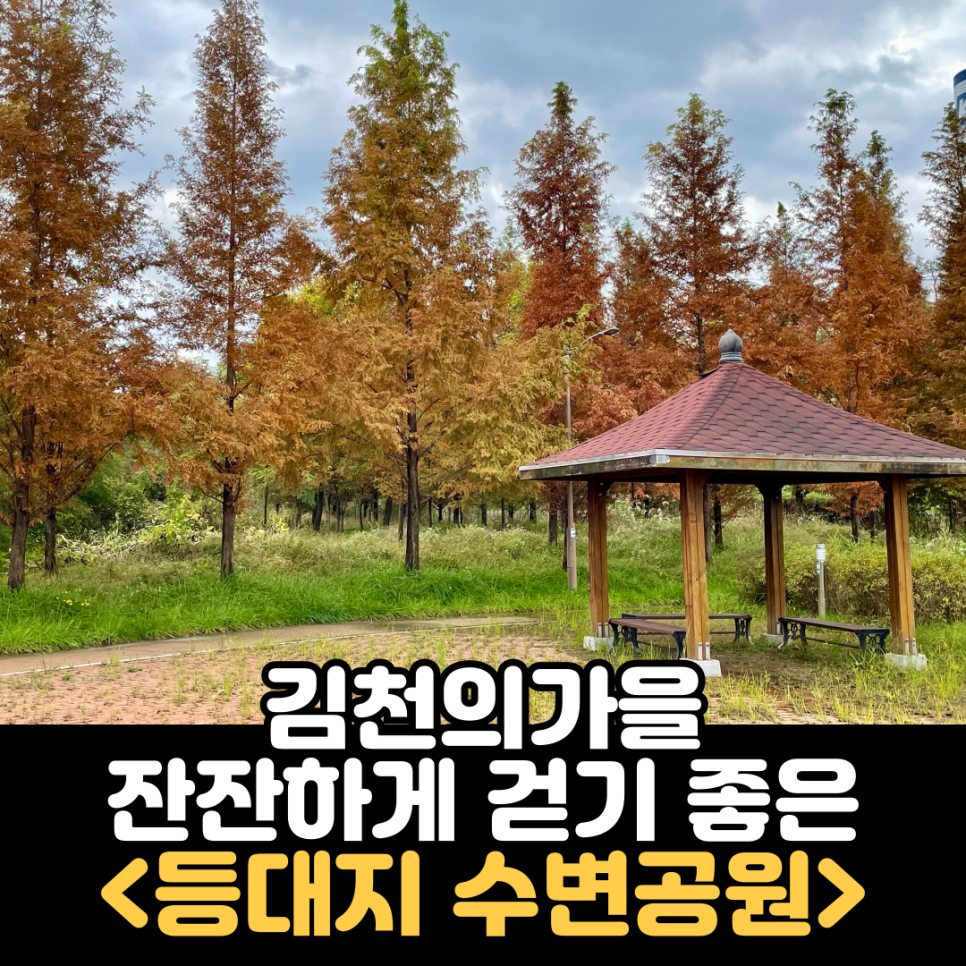 등대지 사진 1