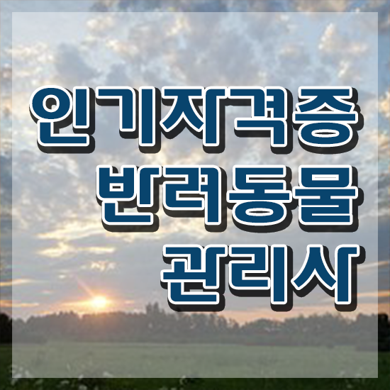  반려동물목욕관리사 , 반려동물관리사 자격증 온라인으로 쉽게 합격한 전략 알아볼까요