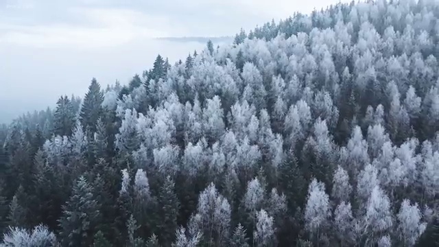 부동산규제지역해제되면 , 부동산자산관리전문가 동영상으로 부동산자산관리사 합격 전략