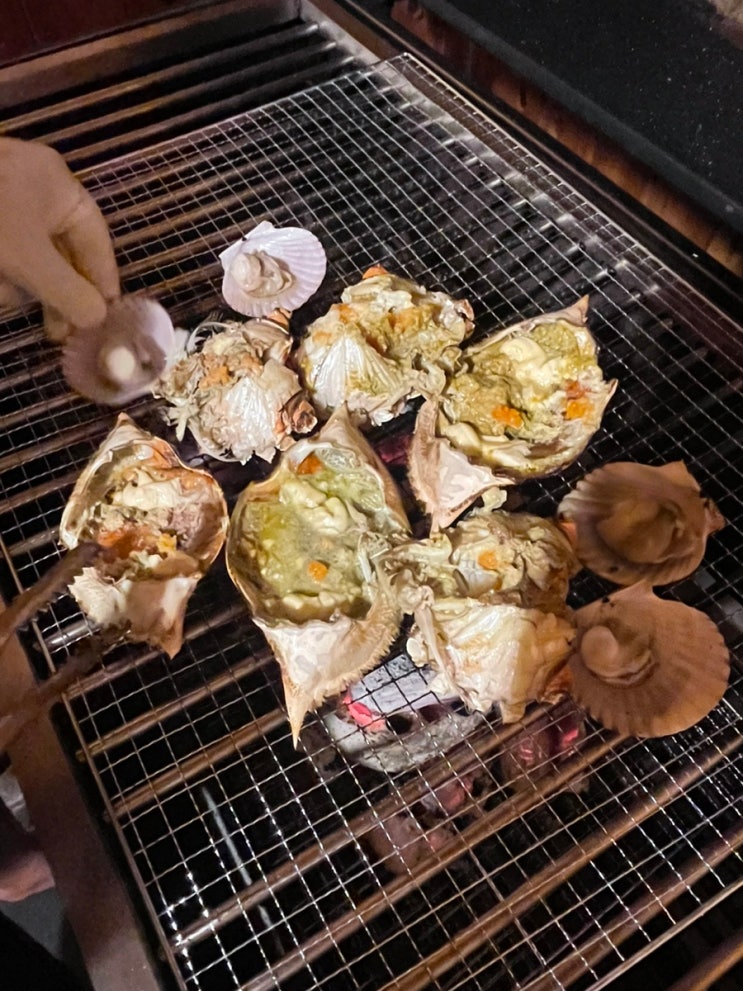  수원 근교 도매시장 찍고 탄도항 안산 와우펜션 1박2일 여행