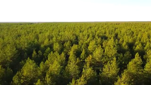  반려동물목욕관리사 , 반려동물관리사 자격증 1급,2급 동시에 합격한 후기 추천합니다