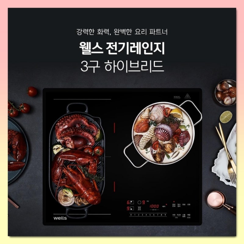 새로워진 웰스 3구 하이브리드 전기레인지 RR523 렌탈