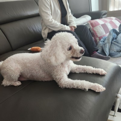 사진 5