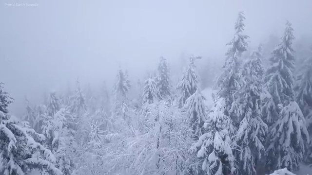  학점은행제 학습플래너 , 스케쥴을 완벽하게 챙겨주는 학점은행제 학습플래너 가 있습니다.