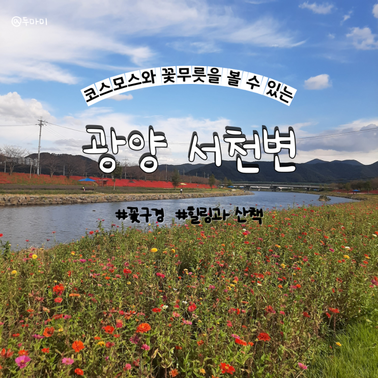  전남광양 가볼만한곳 가을 꽃구경 산책하기