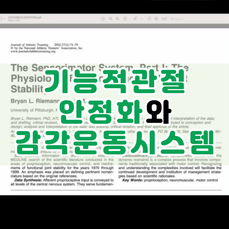  부산교대 헬스장 PT 홍정기 교수님 보수교육 : 기능적 관절 안정화를 위한 감각운동시스템(Sensorimotor system)
