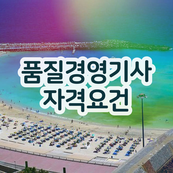  품질경영기사 일주일 , 품질경영기사 응시조건 집에서 온라인으로 편하게 완료한 후기