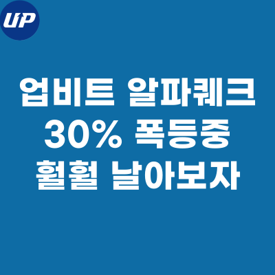 알파쿼크 코인, 급등! 훨훨 날아라