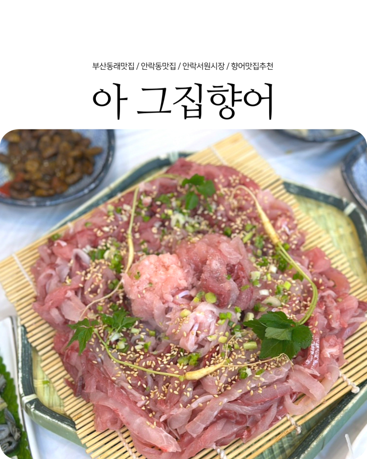  부산 안락동맛집 탱글한 향어회 맛집 서원시장 아 그집향어