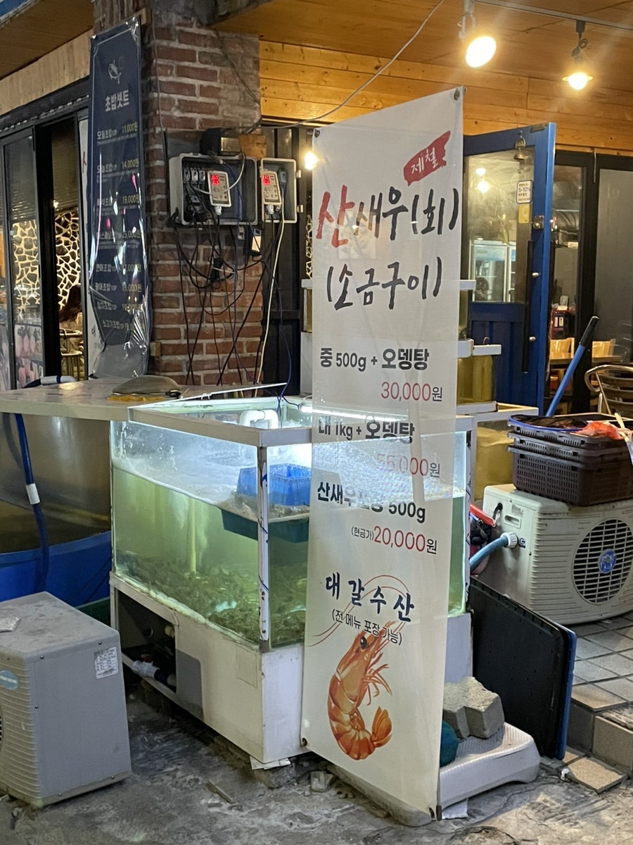 대갈스시조개 사진 3