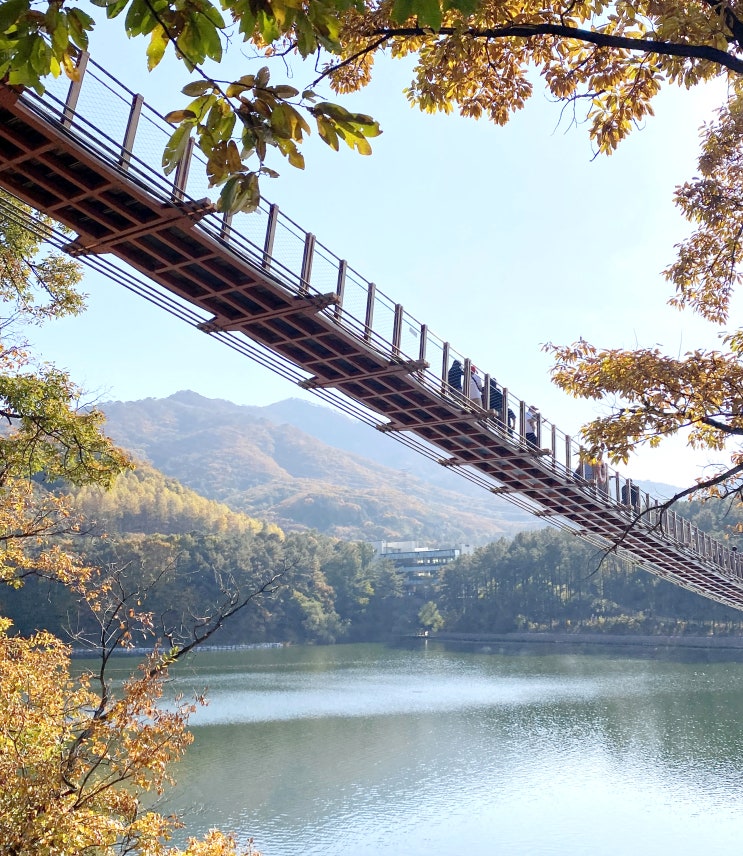  경기도 파주 마장호수 출렁다리 둘레길 단풍구경 : 주차장 카누 카약 서울근교 단풍명소