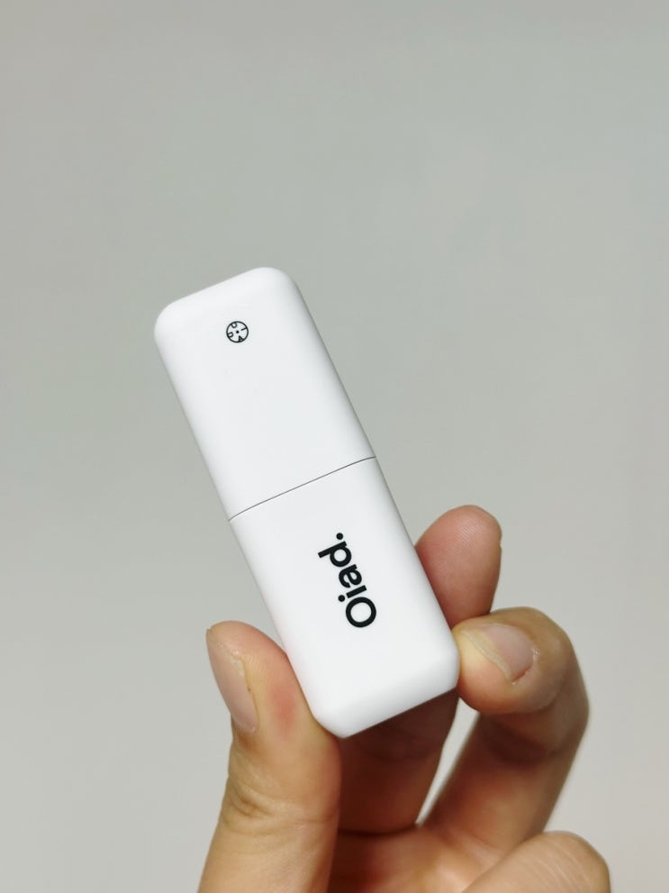  [메이크업] 오아드 립티크 004 로지트 ROSITE 내돈내산 발색 후기