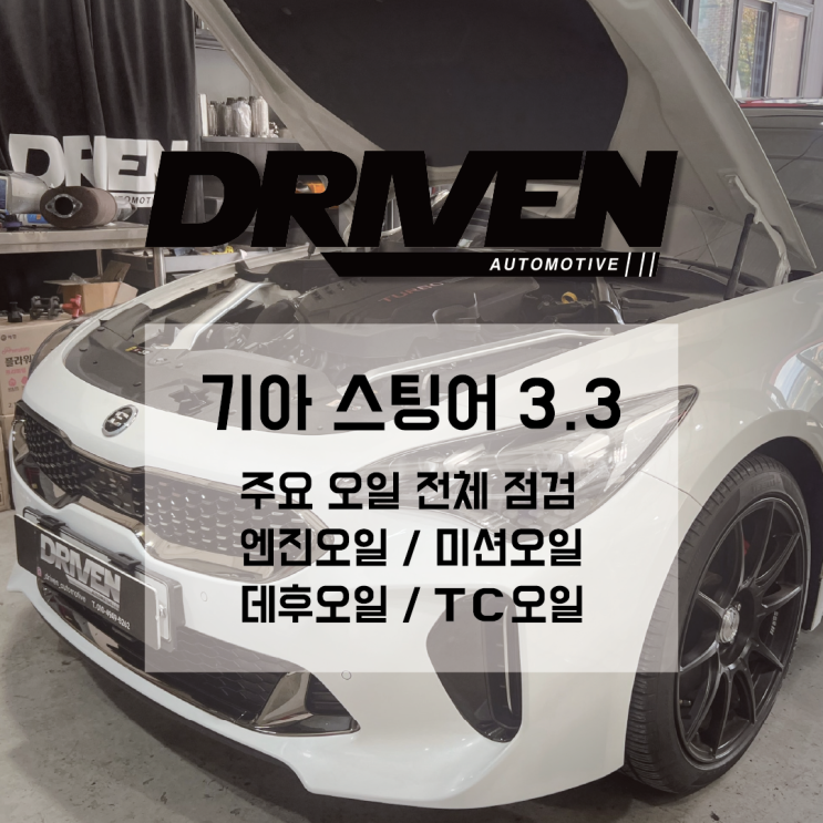  ㅣ광주 자동차 오일 교환 필수 체크 포인트ㅣ기아 스팅어 3.3ㅣ엔진오일, 미션오일, 데후오일, TC오일 교환ㅣ