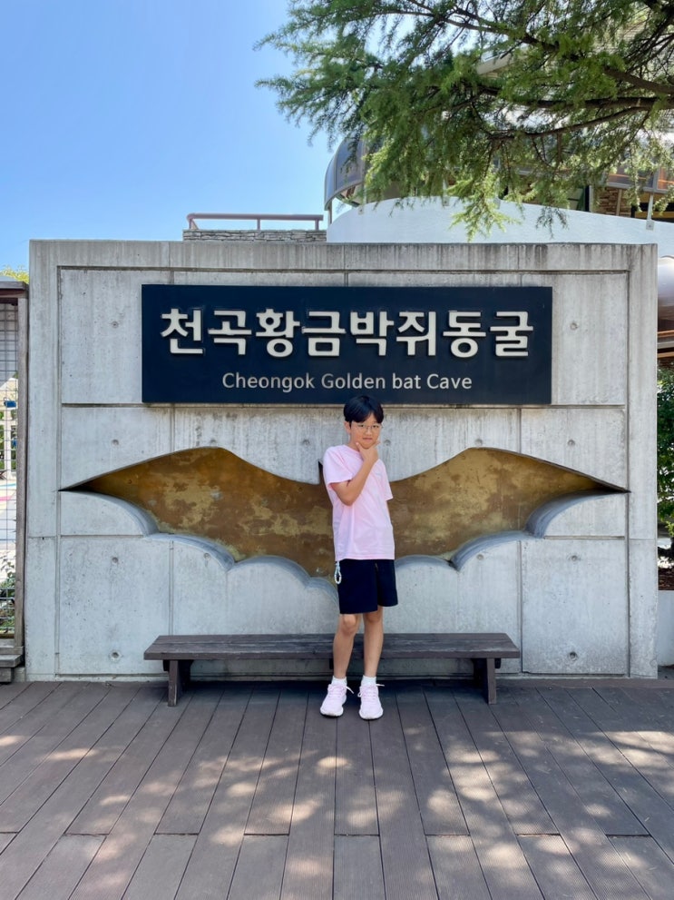강원도 동해 가볼만한곳 도심속 천연동굴 천곡황금박쥐동굴 / 슬쌍디아빠 이동섭