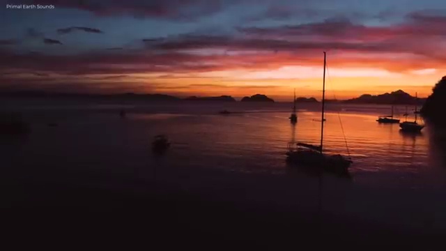  병원코디네이터 자격증 취업 , 병원코디네이터 자격증 비용없이 온라인으로 취득한 정보 공유드려요