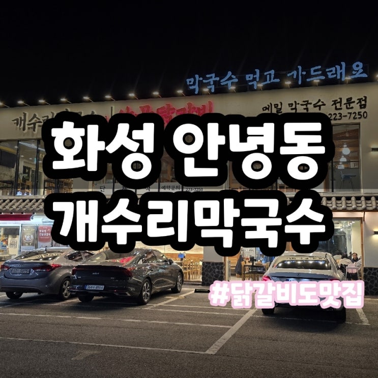  화성 안녕동 맛집 개수리 막국수 강원도의 맛!