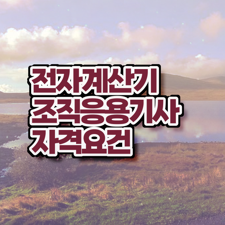  전자계산기조직응용기사 일정 전자계산기조직응용기사 시험응시조건 인강만 듣고 단기간에 완료한 방법