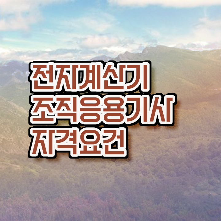  전자계산기조직응용기사 시험자격 온라인으로 편하게 끝낸 방법