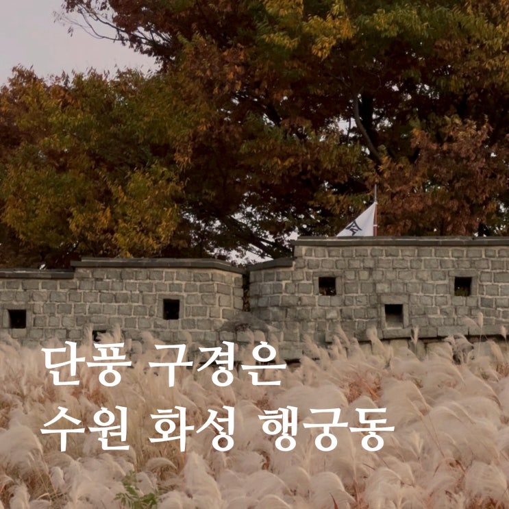  수원 화성 행궁동 완벽 당일치기 나들이 코스 총정리 지도 : 서울 근교 가을 단풍 구경 명소 추천