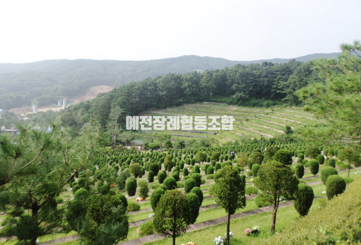  용인 수목장 3곳 한번에 알아보기