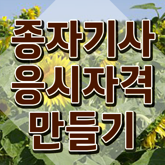  종자기사 합격률 종자기사 응시조건 인강만 듣고 빠르게 성공한 전략