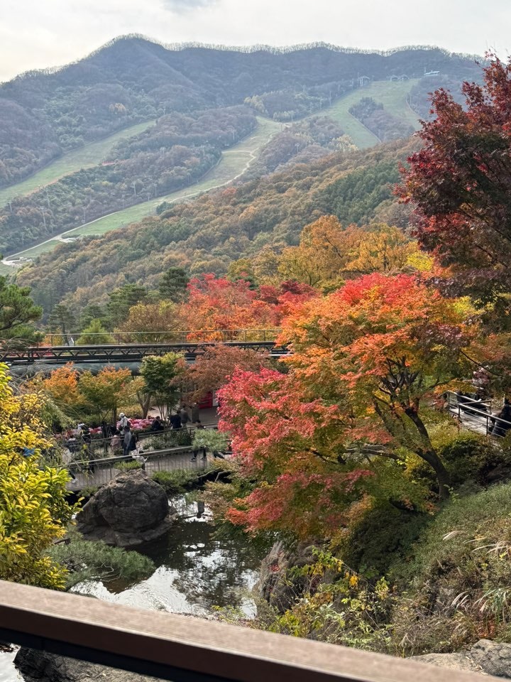 경기 화담숲 단풍 실시간 시간 늦으면 어떻게