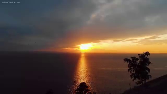  아동교육지도사 교육 , 아동교육지도사 자격증 온라인으로 간단히 학습한 후기 , 취업