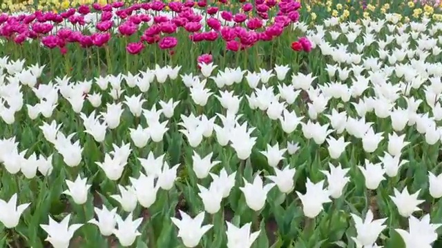  아동발달전문지도사 자격요건 , 아동발달전문지도사 자격증 합격한 후기 정리했어요