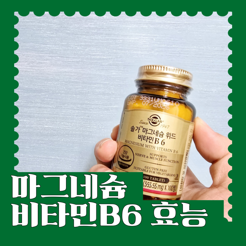 산화마그네슘 비타민B6 효능 솔가 추천