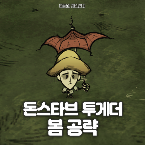  돈스타브 투게더 봄 공략