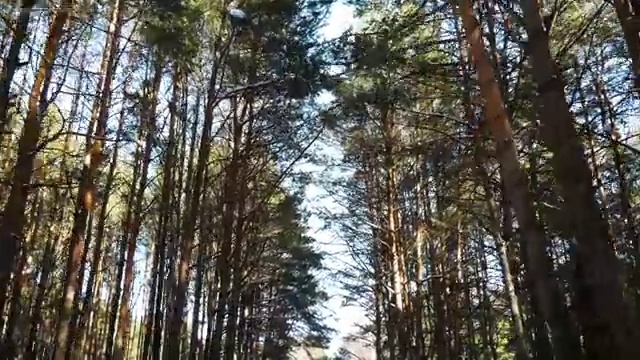  병원코디네이터준비 , 병원코디네이터 자격증 한달 만에 학습한 후기 및 온라인 무료강의