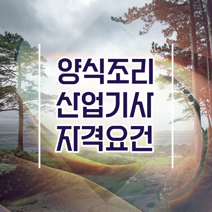  양식조리산업기사 후기 양식조리산업기사 시험응시조건 인강으로 빠르게 완료한 비법