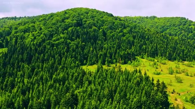  , 부동산권리분석사 실무경력 없어도 쉽고 빠르게 성공한 팁