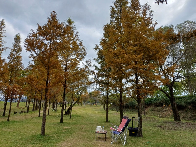 사진 2