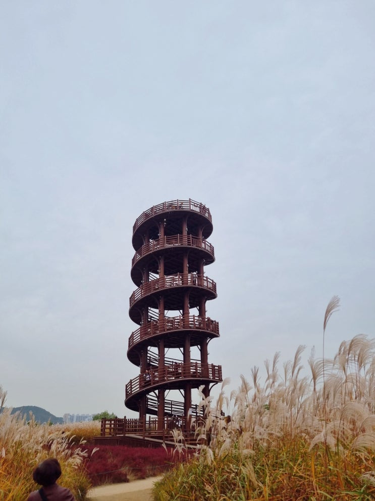  시흥 갯골생태공원 주차 갈대 단풍 현황 경기도 시흥 가볼만한곳 추천