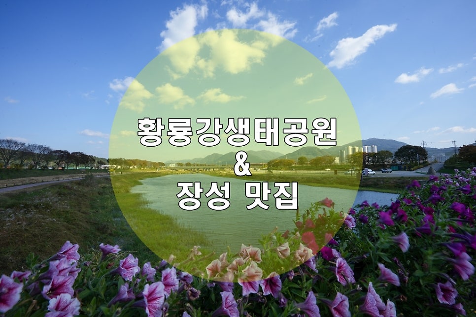 버드나무집 사진 1