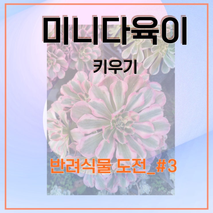  미니다육이 키우기 도전과 물주기 _ #3dcd34004ee00419faedd548dd4e219b7