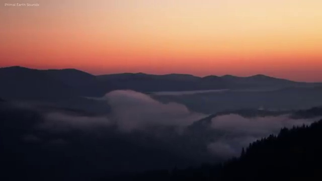  스피치 대본 , 스피치지도사 자격증 한달 만에 준비한 방법 소개